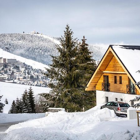 Ski Chalet Klinovec Loučná pod Klínovcem Exterior foto