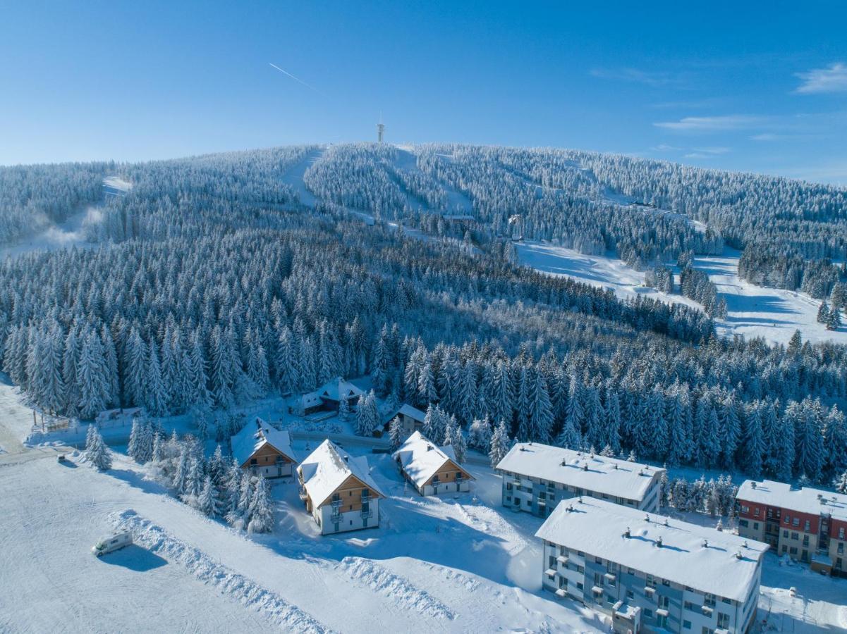 Ski Chalet Klinovec Loučná pod Klínovcem Exterior foto