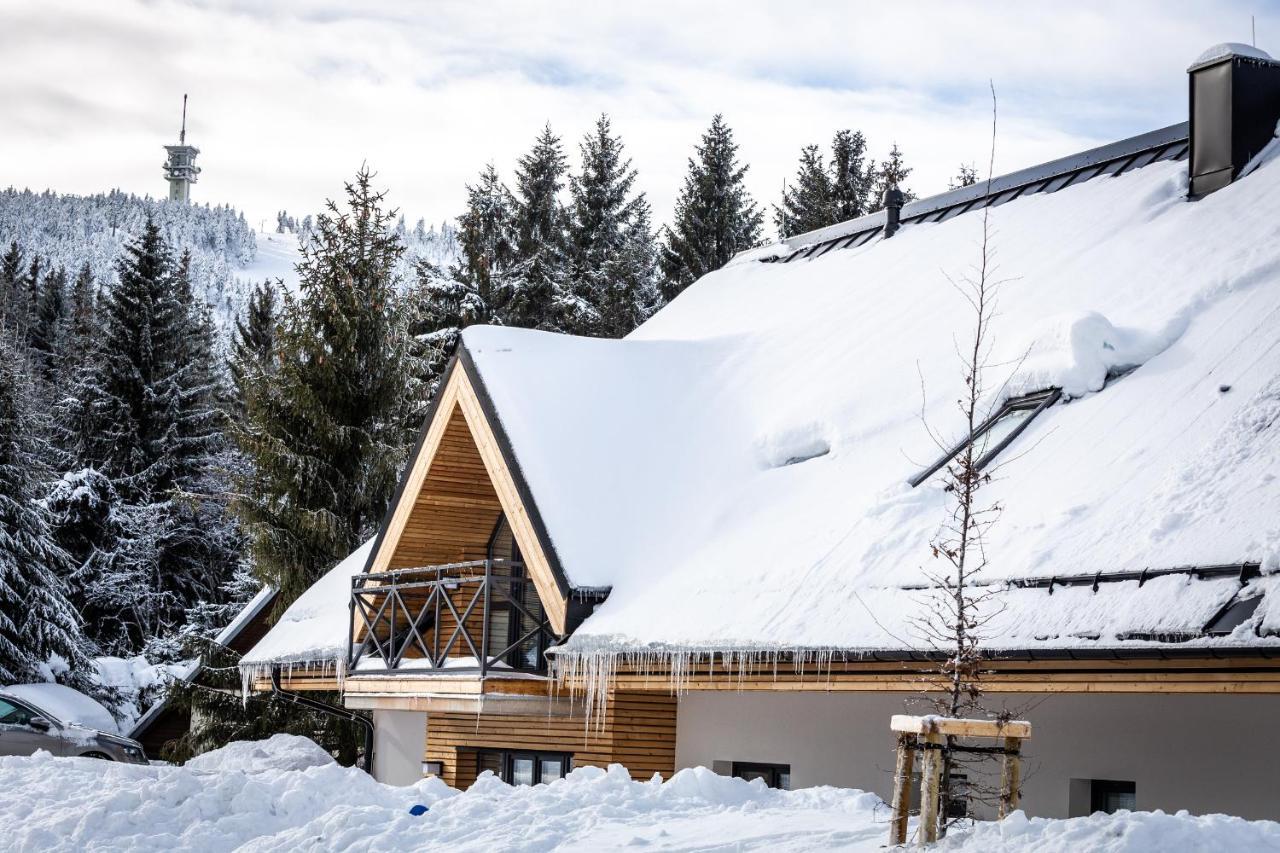 Ski Chalet Klinovec Loučná pod Klínovcem Exterior foto