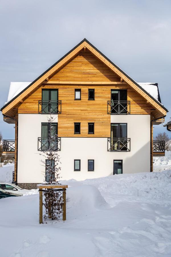 Ski Chalet Klinovec Loučná pod Klínovcem Exterior foto