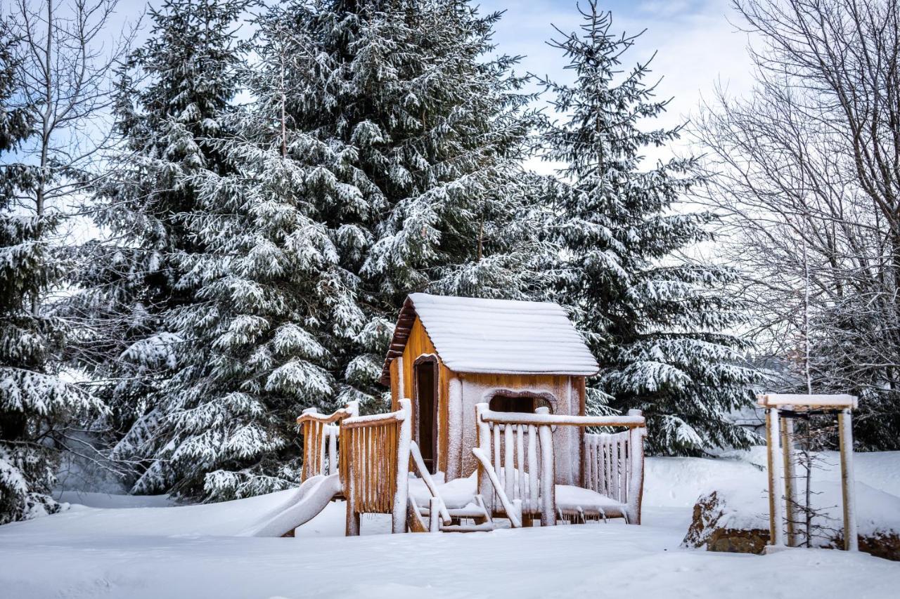 Ski Chalet Klinovec Loučná pod Klínovcem Exterior foto