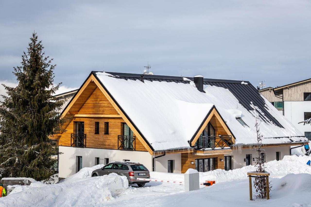 Ski Chalet Klinovec Loučná pod Klínovcem Exterior foto