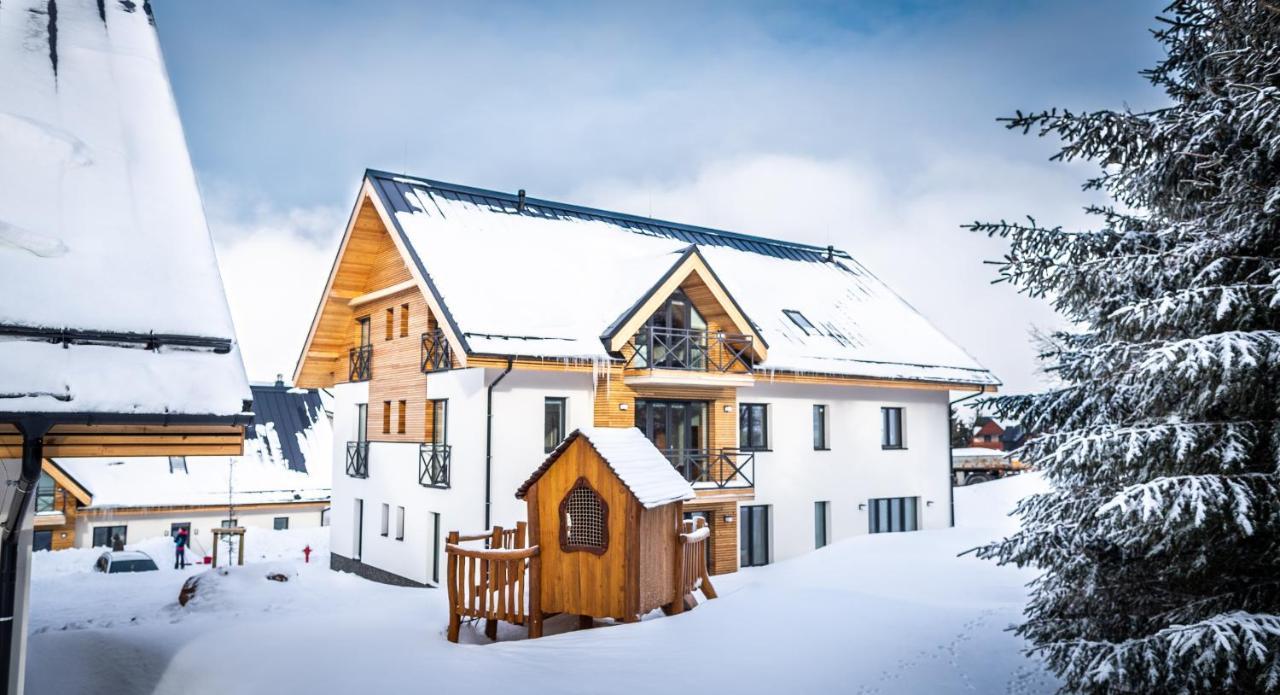 Ski Chalet Klinovec Loučná pod Klínovcem Exterior foto