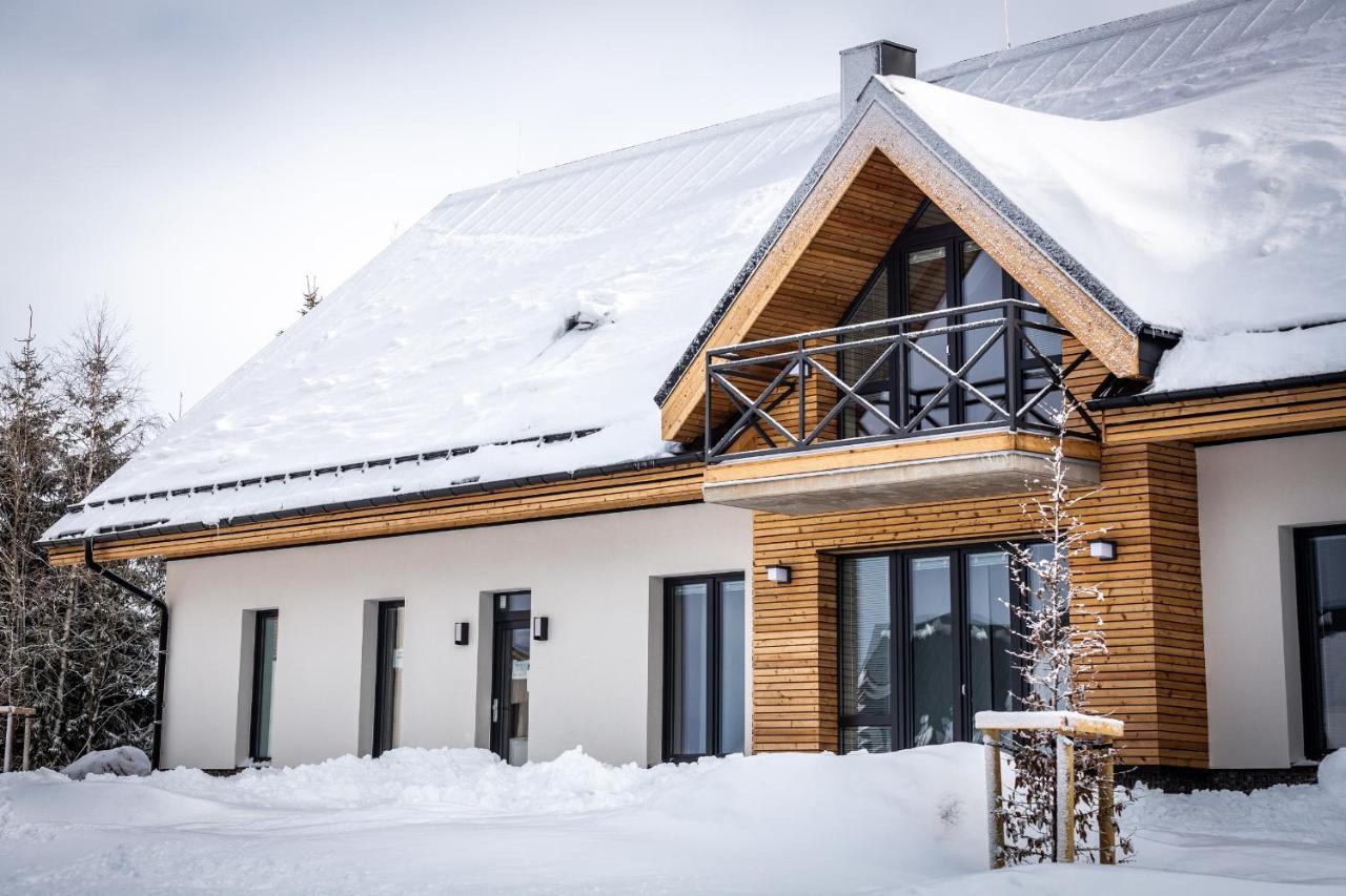 Ski Chalet Klinovec Loučná pod Klínovcem Exterior foto