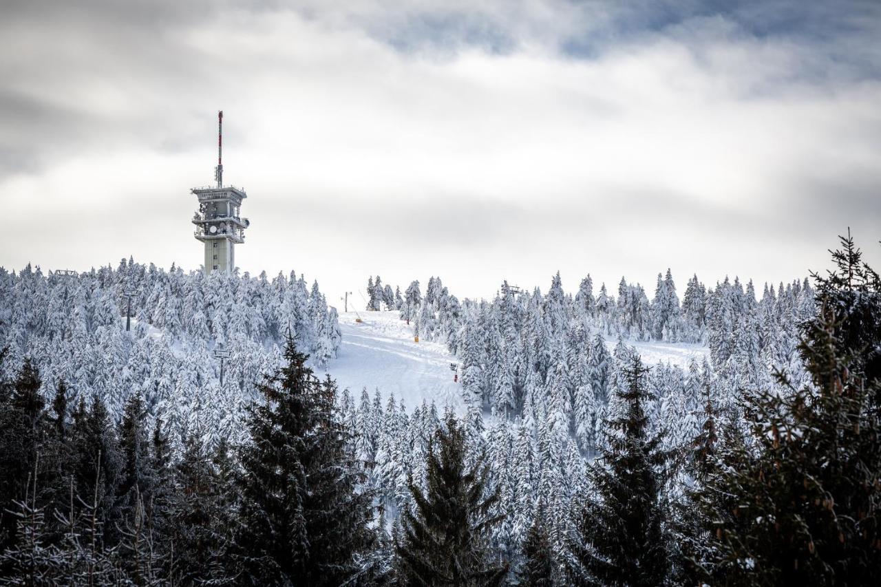 Ski Chalet Klinovec Loučná pod Klínovcem Exterior foto
