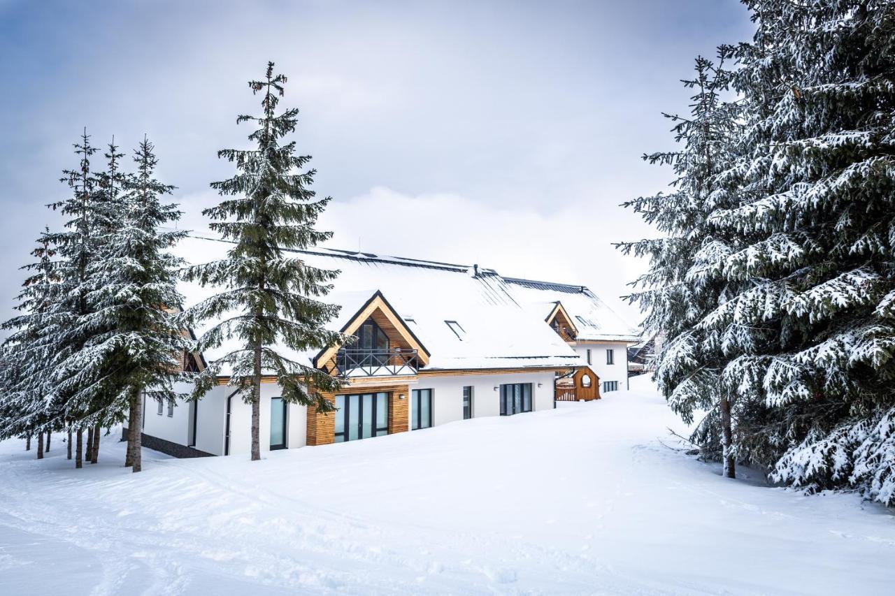 Ski Chalet Klinovec Loučná pod Klínovcem Exterior foto