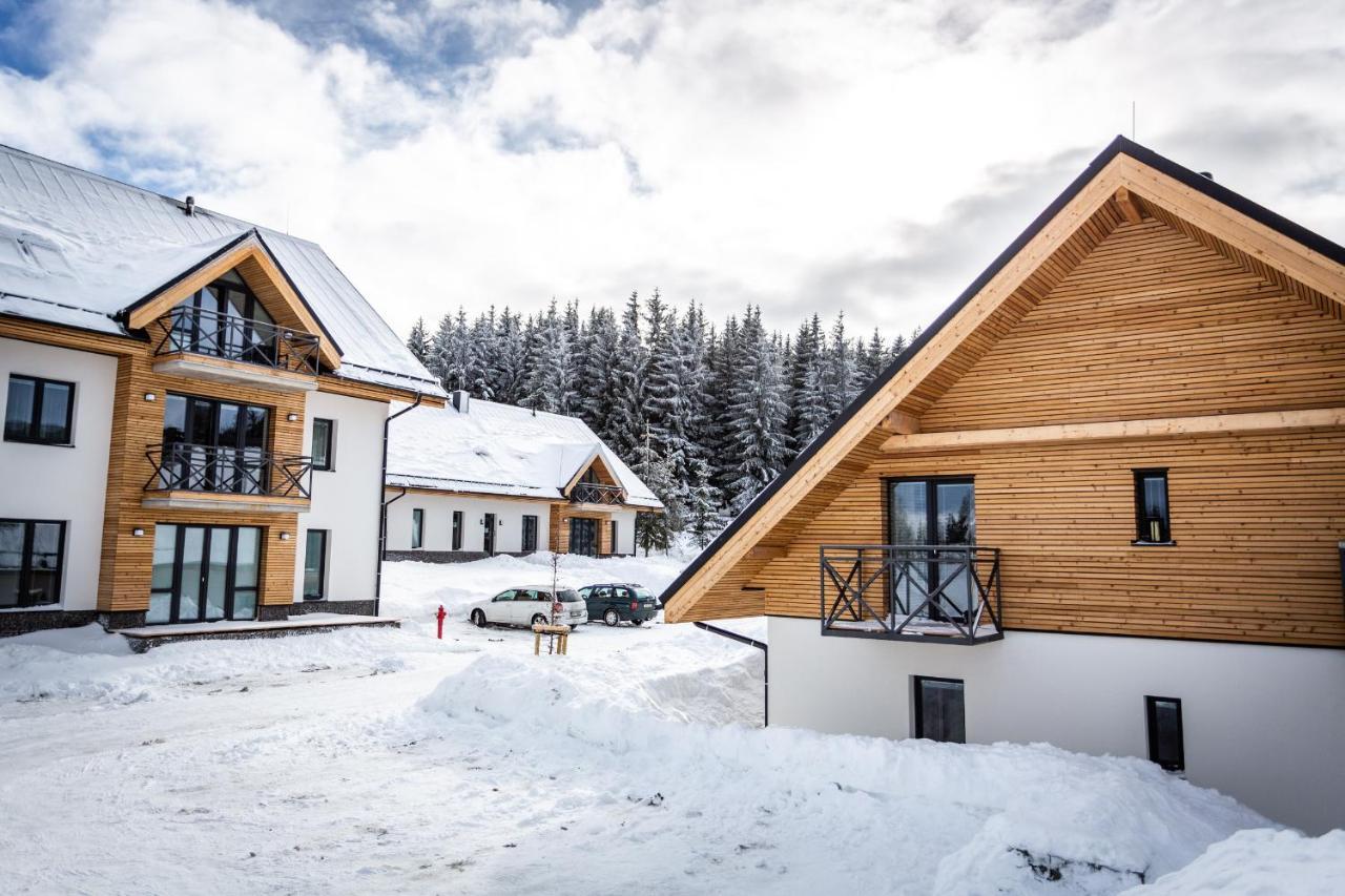 Ski Chalet Klinovec Loučná pod Klínovcem Exterior foto