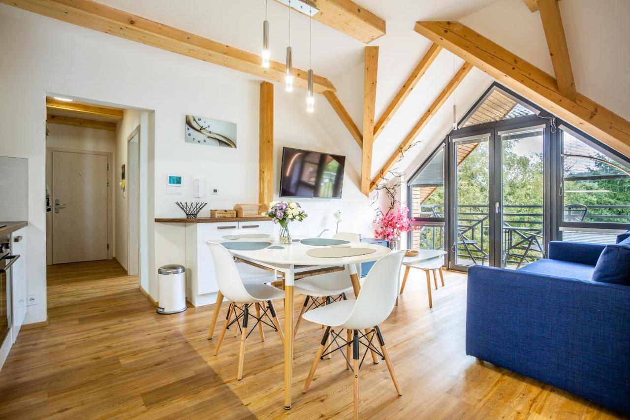 Ski Chalet Klinovec Loučná pod Klínovcem Exterior foto