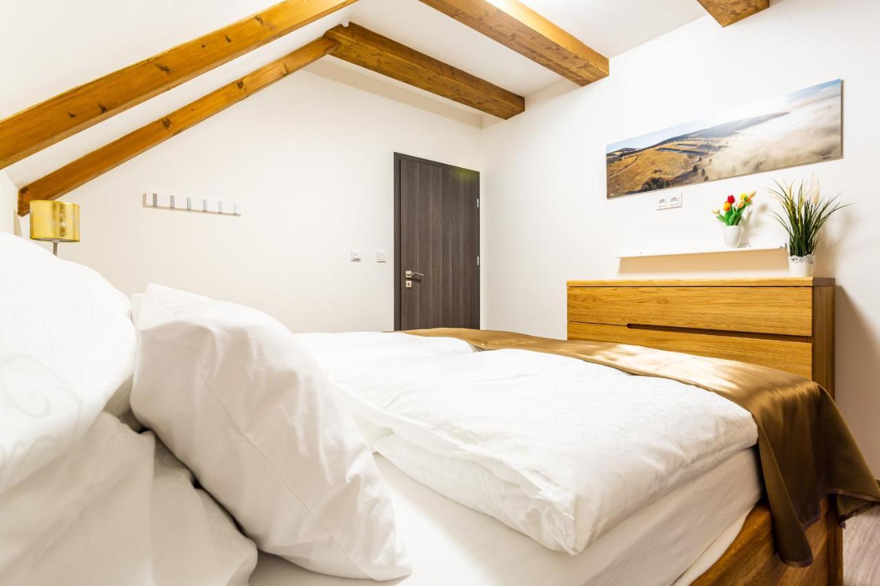 Ski Chalet Klinovec Loučná pod Klínovcem Exterior foto